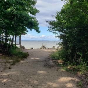 Meet your Posher, Debby newman